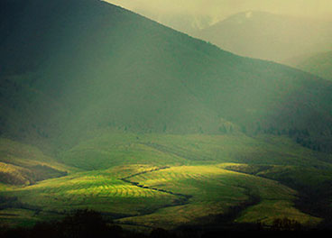 ddos网页在线攻击